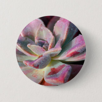 Roze Succulent Ronde Button 5,7 Cm