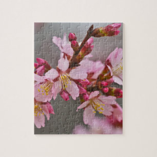 Roze tegen een grijze hemel Japanse Cherry Blossom Legpuzzel