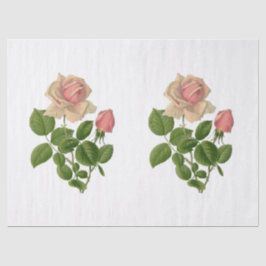 Roze Theerozen Bloemen Vintage Tissuepapier