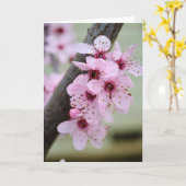  roze torenbloemen kaart (Gele Bloem)