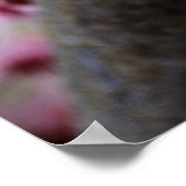 roze torenbloemen poster (Hoek)