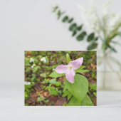Roze Trillium Bloem Briefkaart (Staand voorkant)