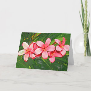 Roze Tropische Frangipani Kunst Feestdagen Kaart