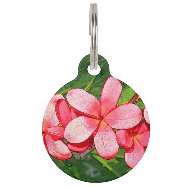 Roze Tropische Frangipani Kunst Huisdierpenning (Voorkant)
