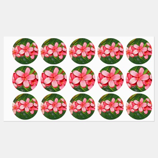 Roze Tropische Frangipani Kunst Labels (Vel)