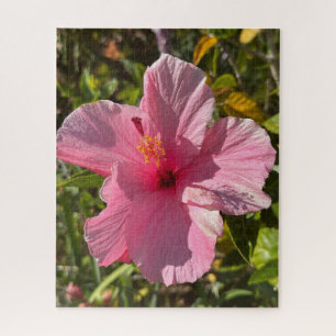 Roze Tropische Hibiscus, Oakland Legpuzzel