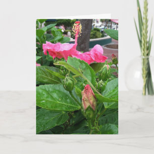 Roze Tropische Hibiscusbloem Camouflagehagedis Kaart