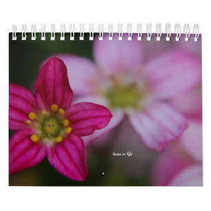 Roze tudenbloemen kalender