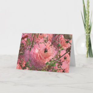 Roze Tuin Kaart