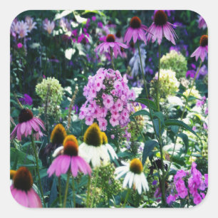 Roze Tuin Phlox Landschap met Kegelbloemen Vierkante Sticker