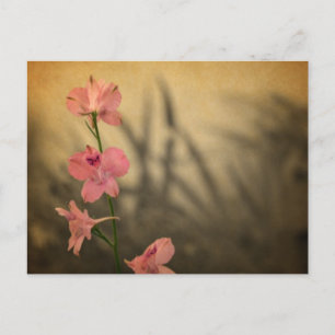 roze tuinbloemen in het rustige land - wildbloem briefkaart