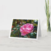 Roze Tuinroos Kaart (Voorkant)