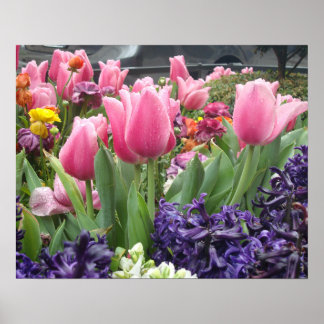 Roze Tulip Forest Poster