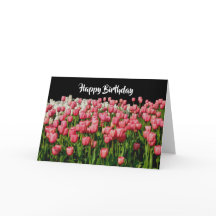 Roze Tulip Happy Birthday