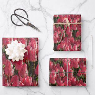 Roze Tulips Floral Inpakpapier Vel