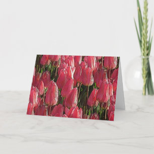 Roze Tulips Floral Kaart