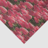 Roze Tulips Floral Tissuepapier (Detail)