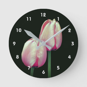 Roze Tulp Bloemen Regendruppel Ronde Klok