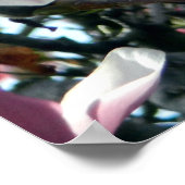 Roze Tulp Blossom Poster (Hoek)