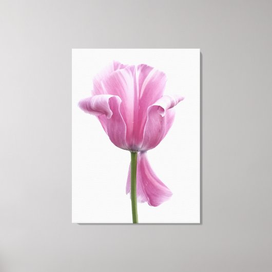 Roze tulp canvas afdruk (Voorkant)