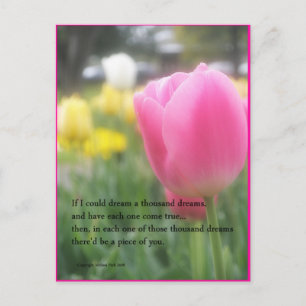 Roze Tulp Gedicht Ansichtkaart Duizend Dromen Briefkaart
