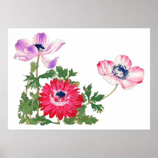 Roze tulp,  Japanse kunst Poster (Voorkant)