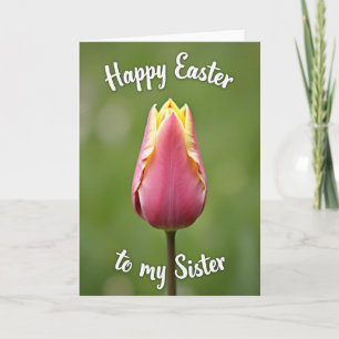 Roze Tulp Pasen Zuster Kaart