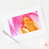 roze tulp rechthoekige sticker (Envelop)