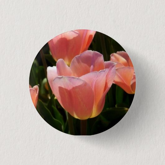 Roze tulp ronde button 3,2 cm (Voorkant)