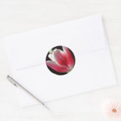 Roze tulp ronde sticker (Envelop)
