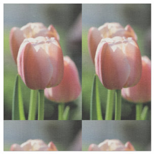 Roze tulp stof