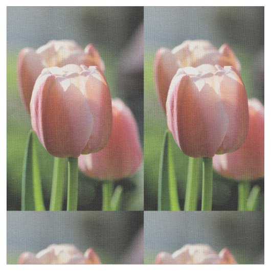 Roze tulp stof (Close Up)
