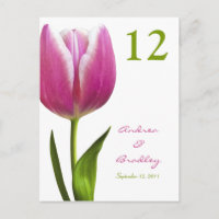 Roze Tulp Tafel Nummer Kaart