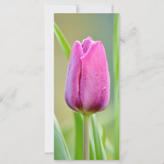 Roze Tulp ventilator