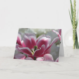 roze tulp verjaardagskaart kaart
