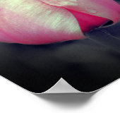 Roze Tulp zwart-wit, partiële kleur Poster (Hoek)