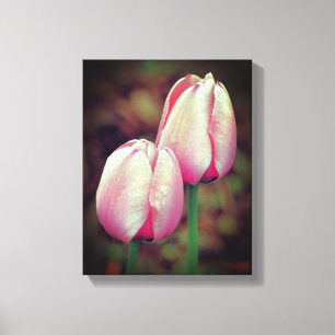 Roze tulpbloemen met regendruppels canvas afdruk