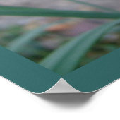 Roze tulpdruk poster (Hoek)