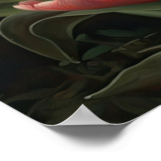 Roze Tulpen Bloemen Art Print Poster (Hoek)