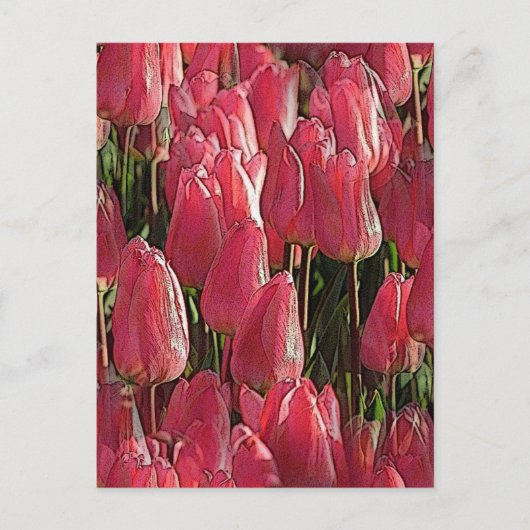 Roze Tulpen Bloemstuk Briefkaart (Voorkant)