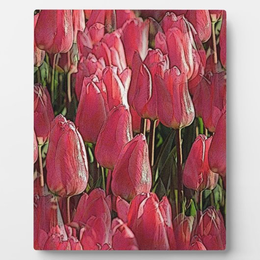 Roze Tulpen Bloemstuk Fotoplaat (Voorkant)