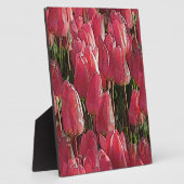 Roze Tulpen Bloemstuk Fotoplaat (Zijkant)