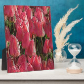 Roze Tulpen Bloemstuk Fotoplaat (Zijkant)