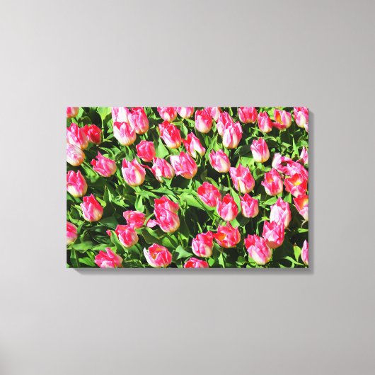 Roze tulpen canvas afdruk (Voorkant)