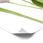 Roze tulpen foto afdruk (Hoek)