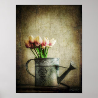 Roze tulpen in gietkan poster
