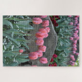 Roze tulpen legpuzzel (Horizontaal)