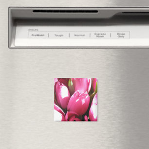 Roze tulpen magneet