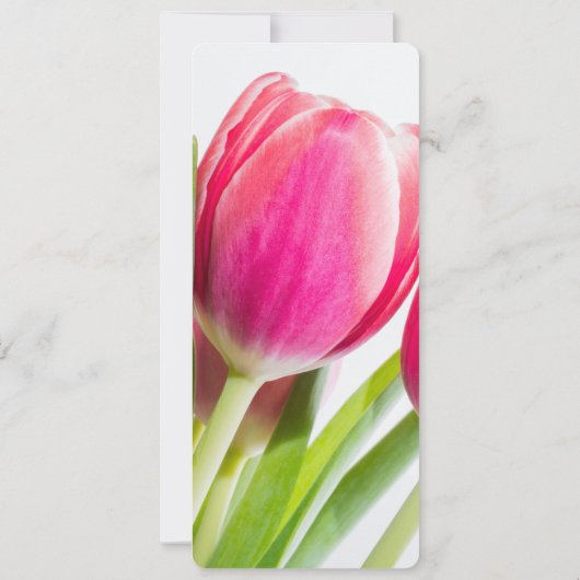 Roze tulpen met groene bladeren Foto Kaart (Achterkant)