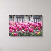 Roze Tulpen - Montreal (Canvas) Canvas Afdruk (Voorkant)